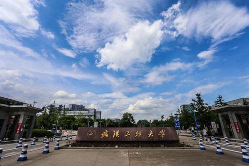 武汉工程大学爆料事件最新,揭秘校园内幕引发社会关注