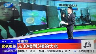 辽宁卫视最新爆料,揭秘重大事件背后真相